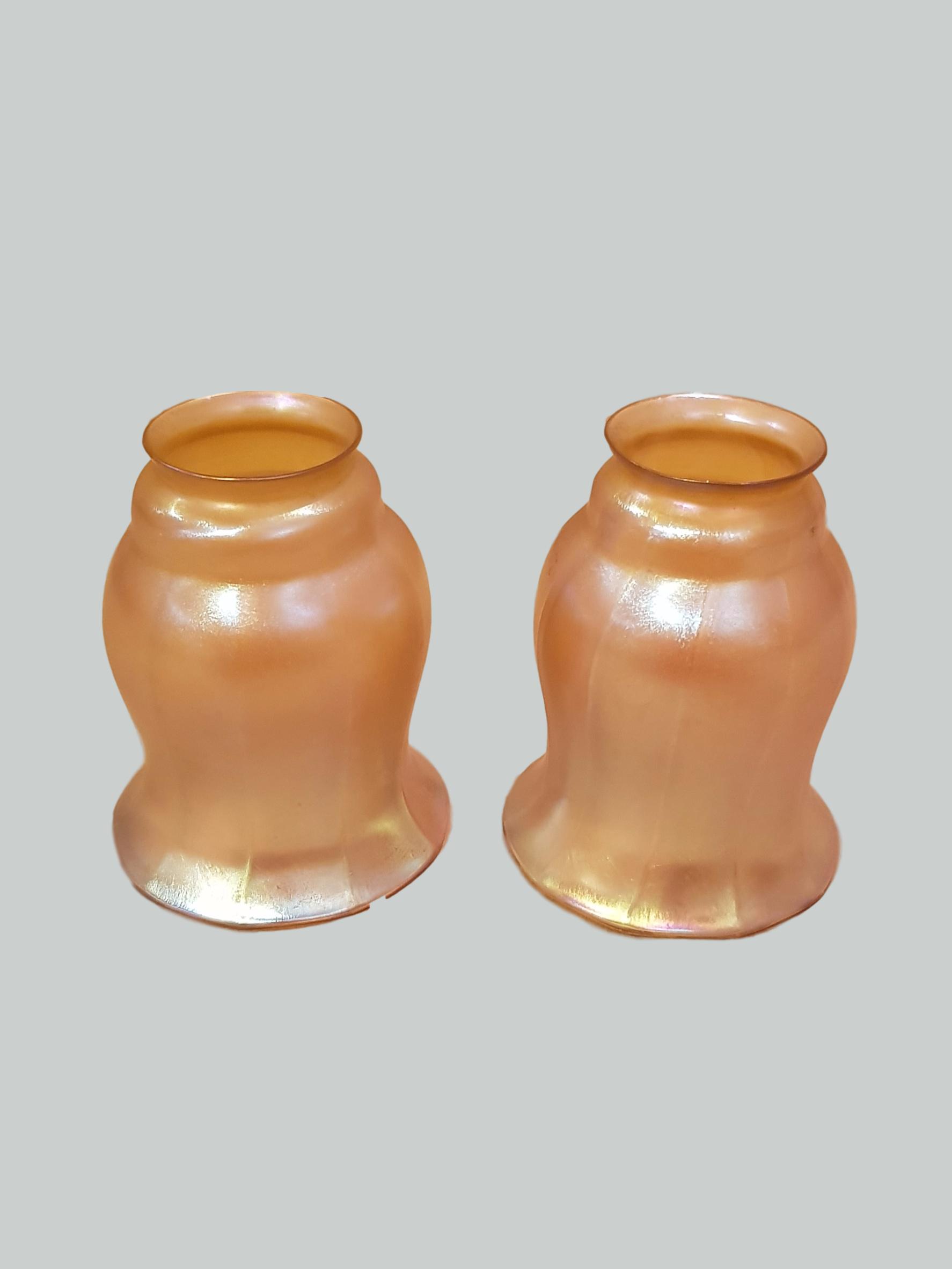 Lustre Art | 2 Irridescent Lampshades