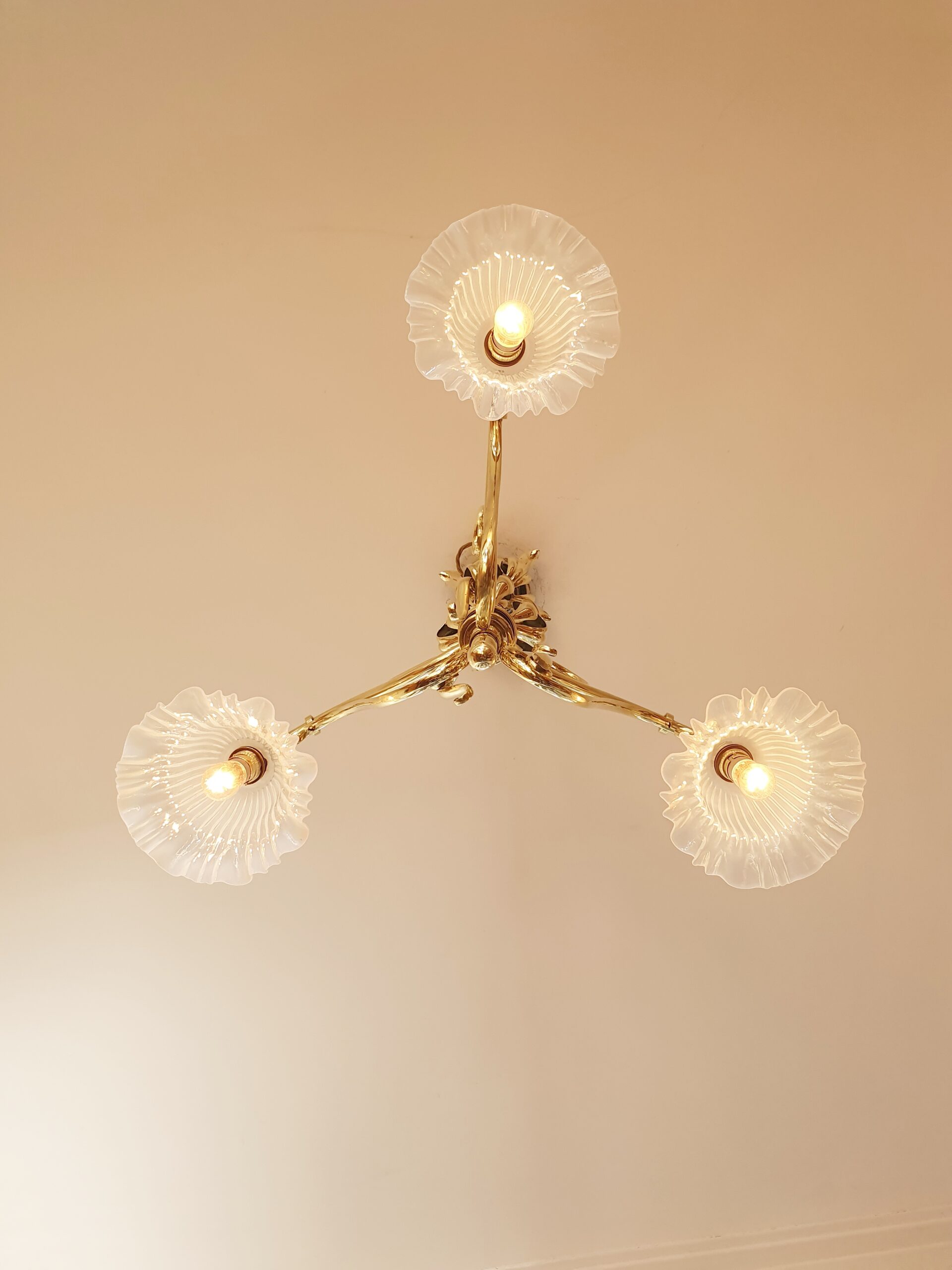 Best & Lloyd, Birmingham | Art Nouveau 3-Branch Ceiling Light | England c.1900 | SOLD - Image 5