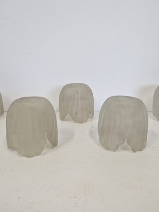 Unsigned | 5 Minature Frosted Lampshades | English c.1900