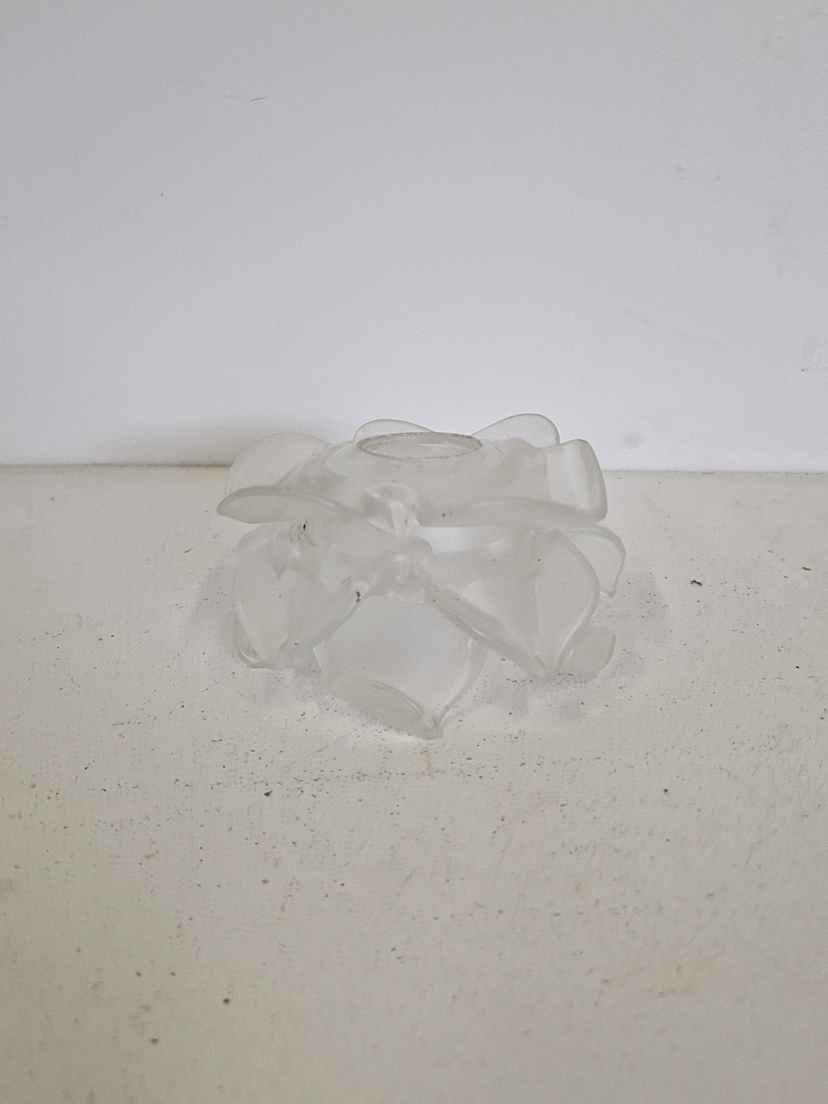 Unsigned | Collection of 4 Frosted "Rose" Lampshade | France c.1910